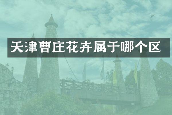 天津曹庄花卉属于哪个区