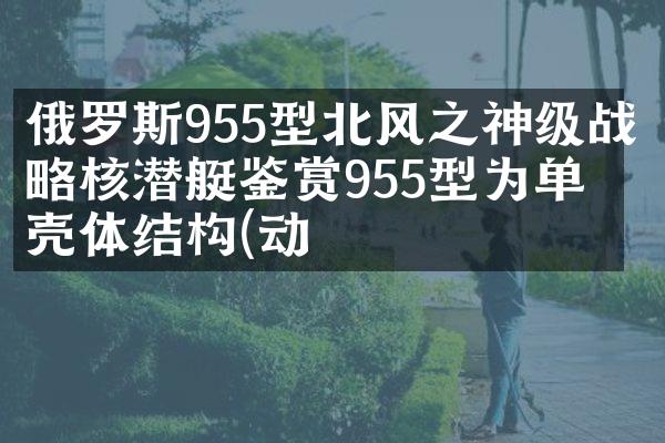 俄罗斯955型北风之神级战略核潜艇鉴赏955型为单双壳体结构(动