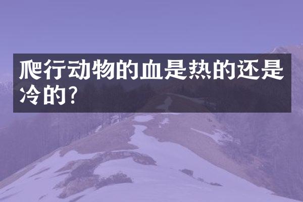 爬行动物的血是热的还是冷的?