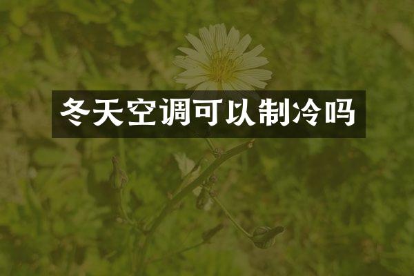 冬天空调可以制冷吗