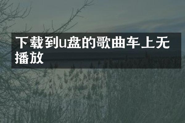 下载到u盘的歌曲车上无法播放