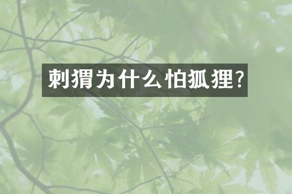 刺猬为什么怕狐狸?