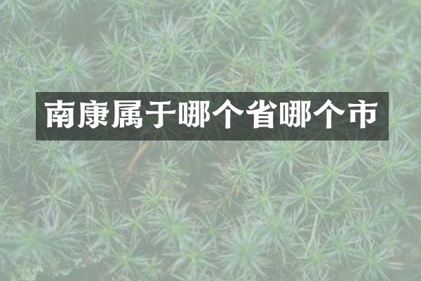 南康属于哪个省哪个市