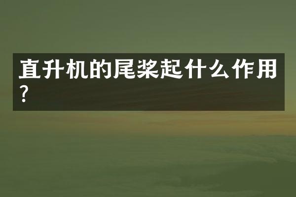 直升机的尾桨起什么作用？