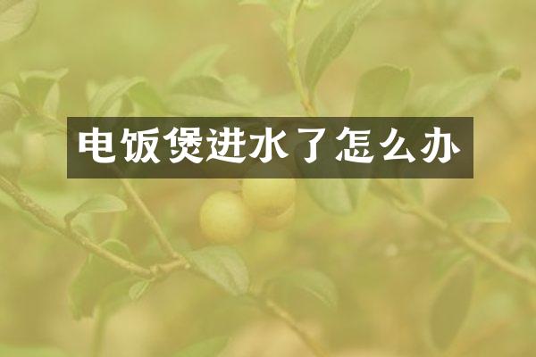 电饭煲进水了怎么办