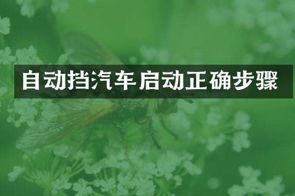 自动挡汽车启动正确步骤