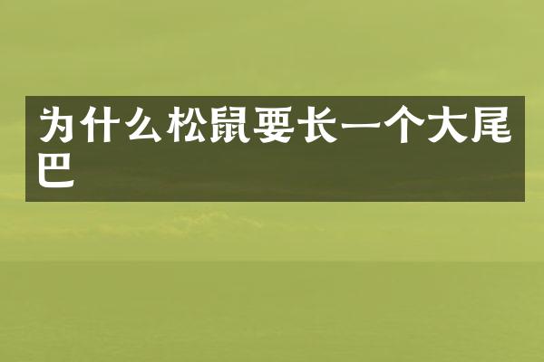 为什么松鼠要长一个大尾巴