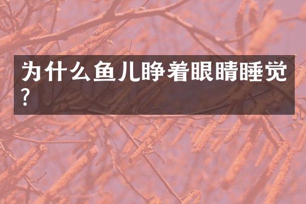 为什么鱼儿睁着眼睛睡觉?