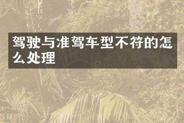 驾驶与准驾车型不符的怎么处理
