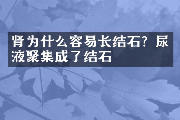 肾为什么容易长结石？尿液聚集成了结石