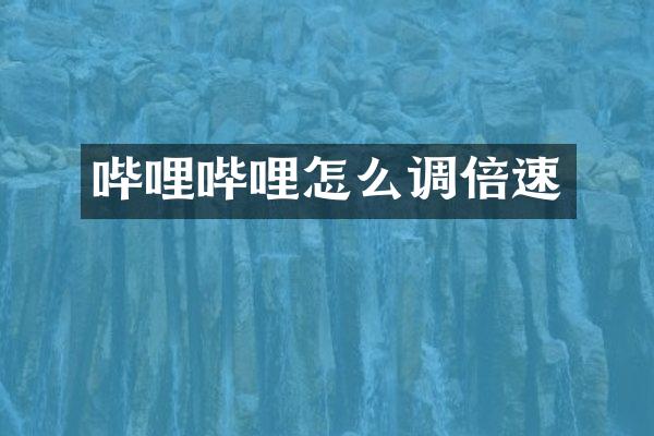 哔哩哔哩怎么调倍速