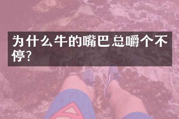 为什么牛的嘴巴总嚼个不停?