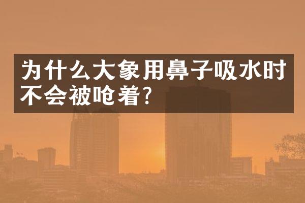 为什么大象用鼻子吸水时不会被呛着?