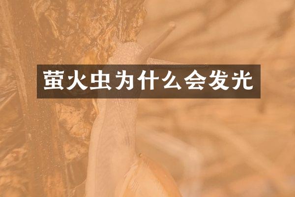 萤火虫为什么会发光