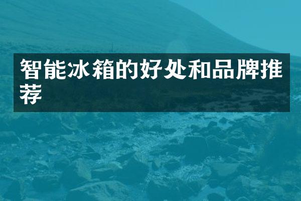 智能冰箱的好处和品牌推荐
