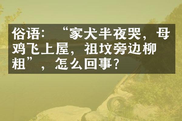 俗语：“家犬半夜哭，母鸡飞上屋，祖坟旁边柳树粗”，怎么回事？