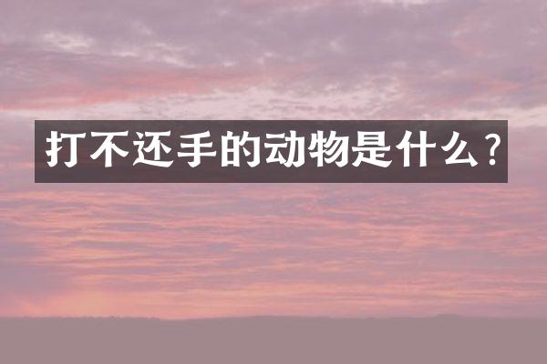 打不还手的动物是什么?
