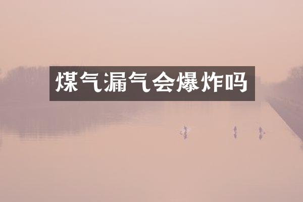 煤气漏气会爆炸吗