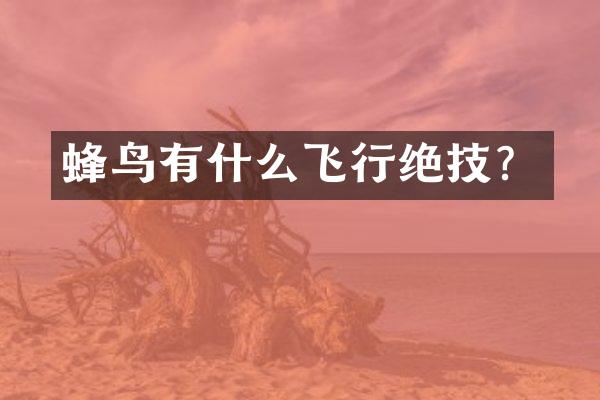 蜂鸟有什么飞行绝技？