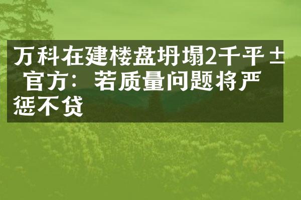 万科在建楼盘坍塌2千平米 官方：若质量问题将严惩不贷