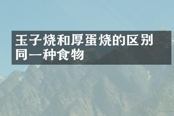 玉子烧和厚蛋烧的区别 是同一种食物