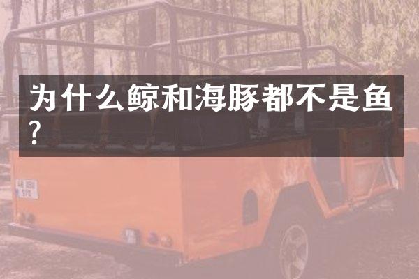 为什么鲸和海豚都不是鱼？