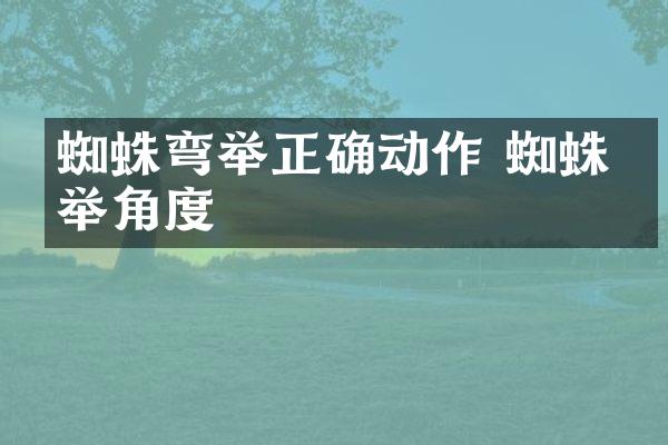 蜘蛛弯举正确动作 蜘蛛弯举角度