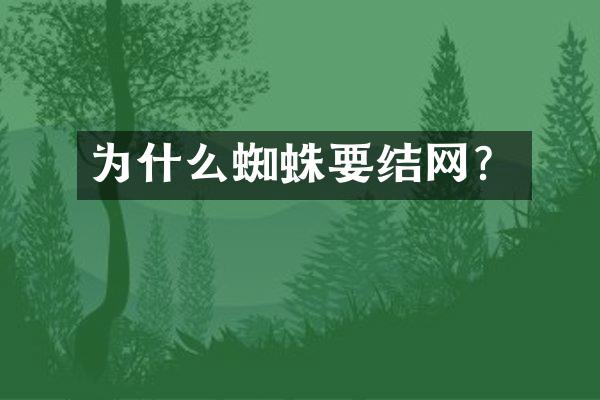为什么蜘蛛要结网？
