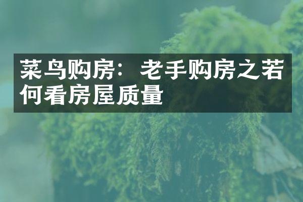 菜鸟购房：老手购房之若何看房屋质量