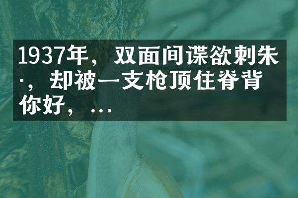 1937年，双面间谍欲刺朱德，却被一支枪顶住脊背：你好，...