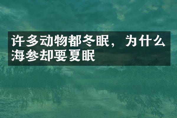 许多动物都冬眠，为什么海参却要夏眠