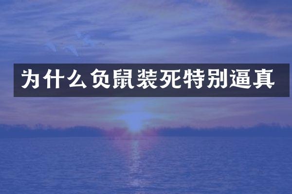 为什么负鼠装死特别逼真