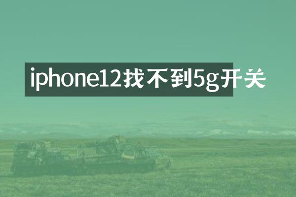 iphone12找不到5g开关