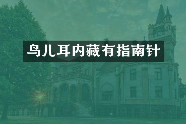 鸟儿耳内藏有指南针