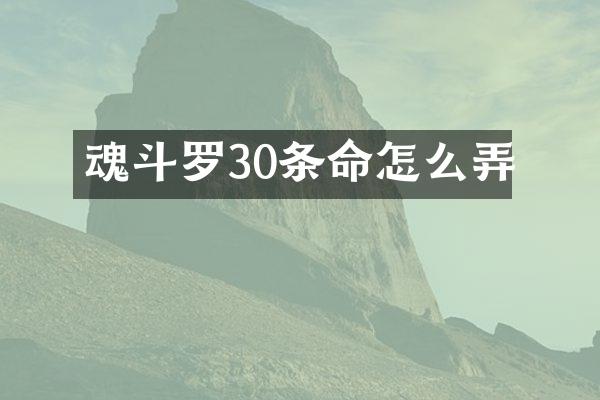 魂斗罗30条命怎么弄
