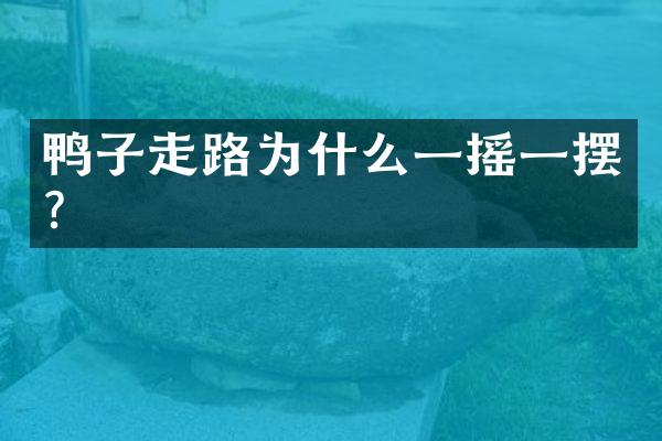 鸭子走路为什么一摇一摆？