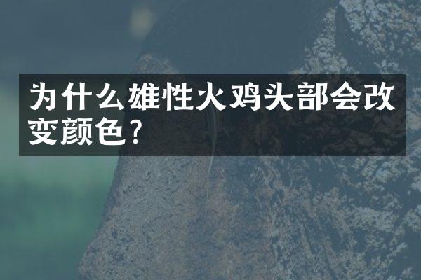 为什么雄性火鸡头部会改变颜色?