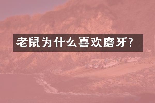 老鼠为什么喜欢磨牙？