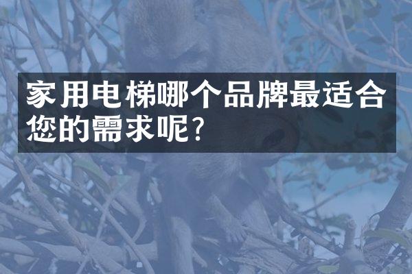 家用电梯哪个品牌最适合您的需求呢？
