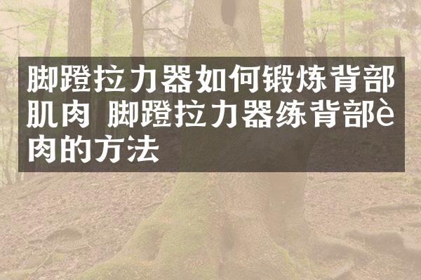 脚蹬拉力器如何锻炼背部肌肉 脚蹬拉力器练背部肌肉的方法