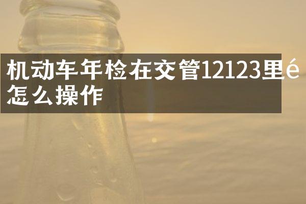机动车年检在交管12123里面怎么操作