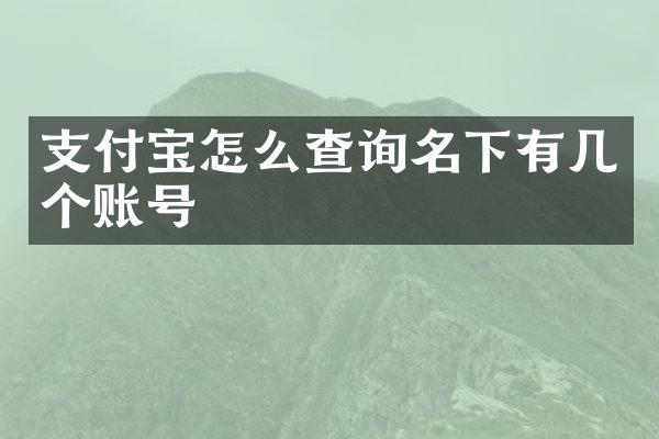 支付宝怎么查询名下有几个账号