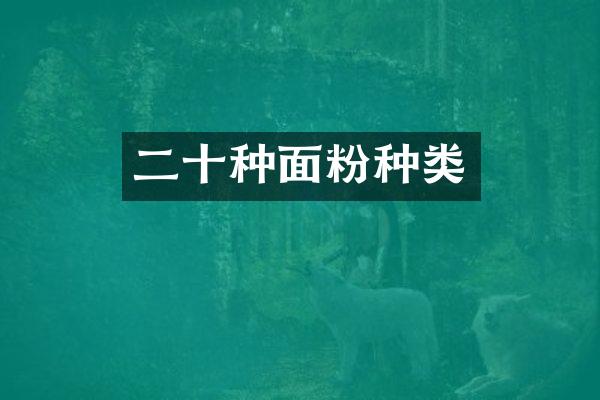 二十种面粉种类