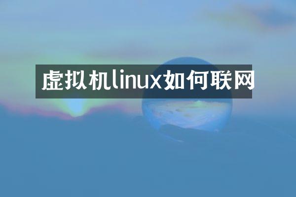 虚拟机linux如何联网