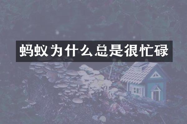 蚂蚁为什么总是很忙碌