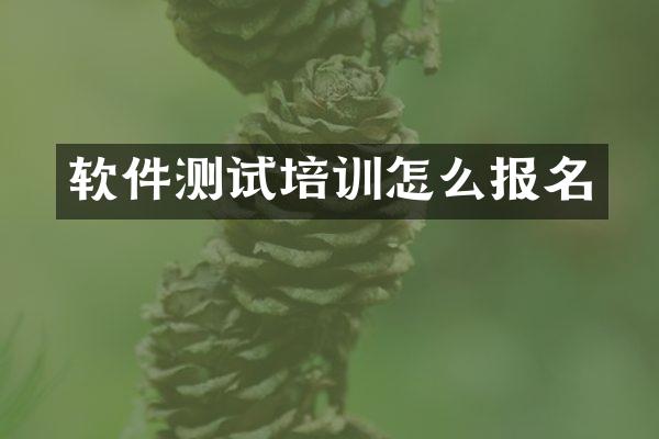 软件测试培训怎么报名