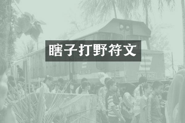 瞎子打野符文