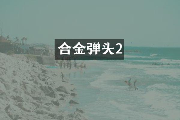 合金弹头2