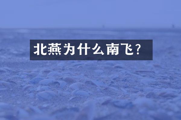 北燕为什么南飞？