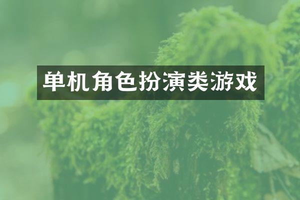 单机角色扮演类游戏
